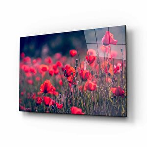 Doğa Cam Tablo 50x70 cm