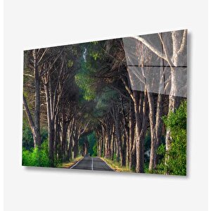 Doğa Cam Tablo 90x60 cm