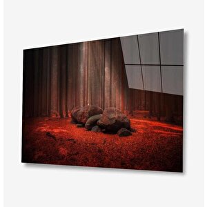 Doğa Cam Tablo 110x70 cm