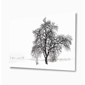 Doğa Cam Tablo 50x70 cm