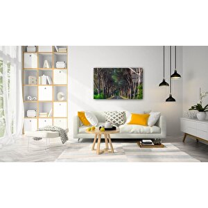 Doğa Cam Tablo 36x23 cm