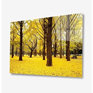 Doğa Cam Tablo 50x70 cm