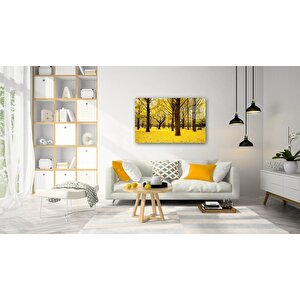 Doğa Cam Tablo 50x70 cm