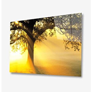 Doğa Cam Tablo 50x70 cm