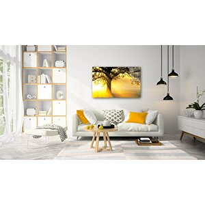 Doğa Cam Tablo 50x70 cm
