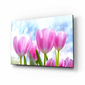 Doğa Cam Tablo 50x70 cm