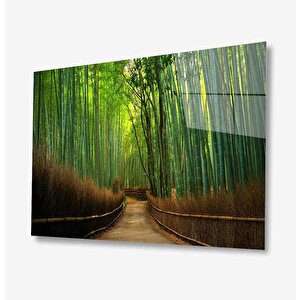 Doğa Cam Tablo 50x70 cm