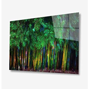 Doğa Cam Tablo 50x70 cm