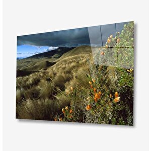 Doğa Cam Tablo 36x23 cm