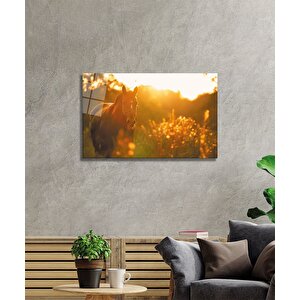 Doğada Atcam Tablo 50x70 cm