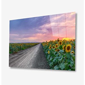Doğa Cam Tablo 90x60 cm