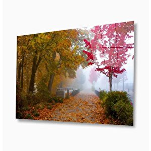Doğa Cam Tablo 50x70 cm