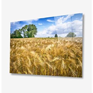 Doğa Cam Tablo 50x70 cm