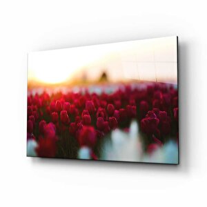 Doğa Cam Tablo 50x70 cm