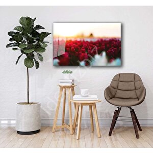 Doğa Cam Tablo 50x70 cm