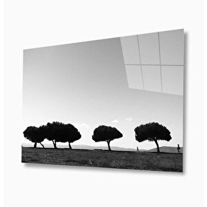 Doğa Cam Tablo 50x70 cm