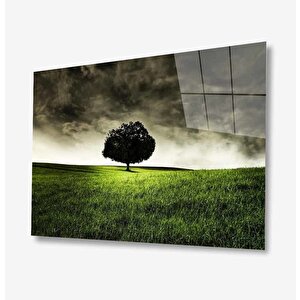 Doğa Cam Tablo 50x70 cm