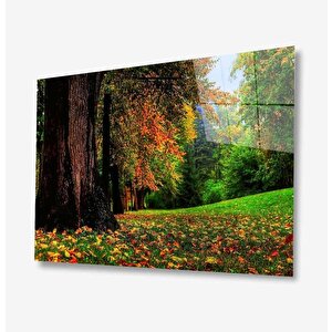 Doğa Cam Tablo 50x70 cm