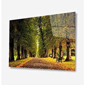 Doğa Cam Tablo 50x70 cm