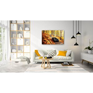 Doğa Cam Tablo 50x70 cm