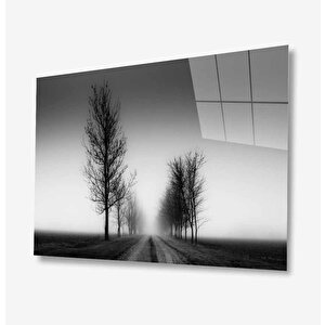 Doğa Cam Tablo 36x23 cm