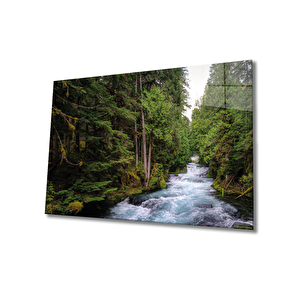 Doğa Cam Tablo 50x70 cm