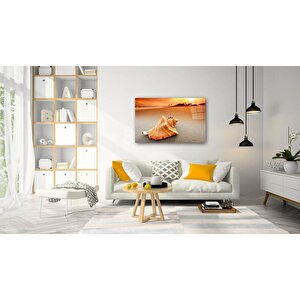 Doğa Cam Tablo 36x23 cm