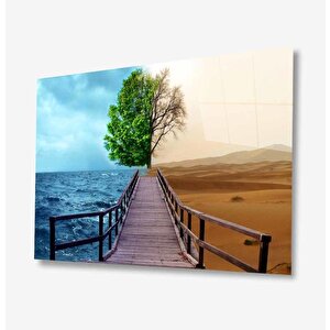 Doğa Cam Tablo 50x70 cm