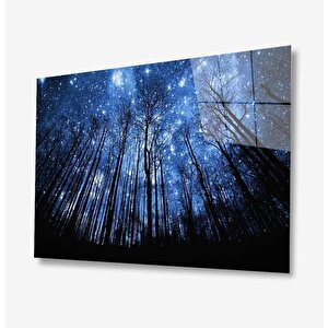 Doğa Cam Tablo 50x70 cm