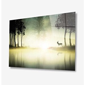 Doğa Cam Tablo 50x70 cm