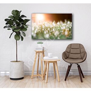 Doğa Cam Tablo 50x70 cm