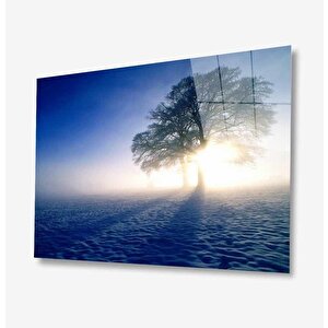 Doğa Cam Tablo 50x70 cm