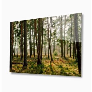 Doğa Cam Tablo 50x70 cm