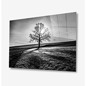 Doğa Cam Tablo 36x23 cm