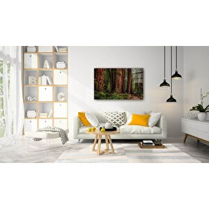 Doğa Cam Tablo 50x70 cm