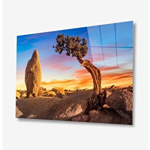 Doğa Cam Tablo 50x70 cm