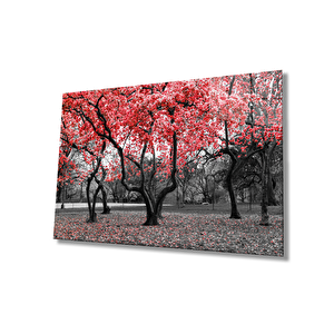 Kırmızı Ağaçlar Doğa Cam Tablo Ev Ve Ofis Duvar Dekoru 50x70 cm