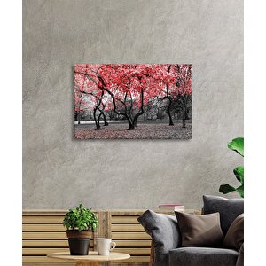 Kırmızı Ağaçlar Doğa Cam Tablo Ev Ve Ofis Duvar Dekoru 50x70 cm