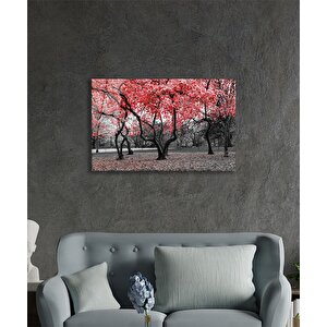 Kırmızı Ağaçlar Doğa Cam Tablo Ev Ve Ofis Duvar Dekoru 50x70 cm