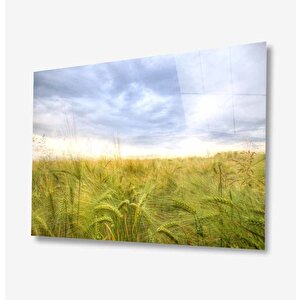 Doğa Cam Tablo 50x70 cm