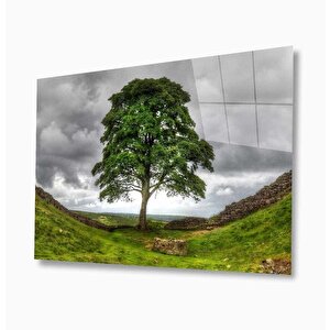 Doğa Cam Tablo 50x70 cm