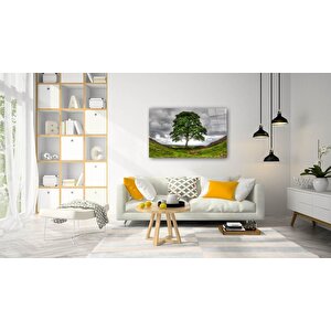 Doğa Cam Tablo 50x70 cm