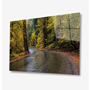 Doğa Cam Tablo 50x70 cm