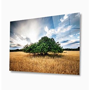 Doğa Cam Tablo 36x23 cm