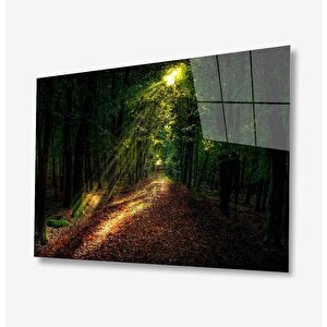 Doğa Cam Tablo 50x70 cm