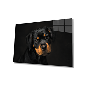Köpek Cam Tablo Dog Table 36x23 cm