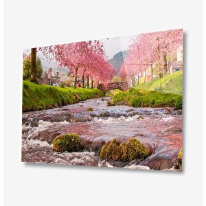 Doğa Cam Tablo 50x70 cm