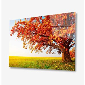 Doğa Cam Tablo 50x70 cm