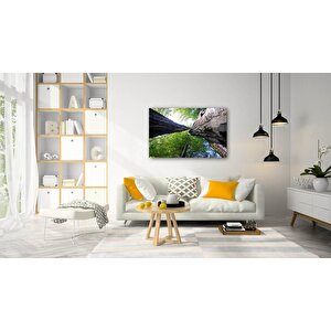 Doğa Cam Tablo 50x70 cm
