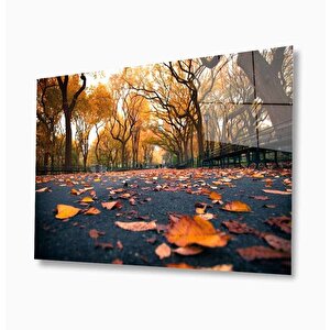 Doğa Cam Tablo 50x70 cm